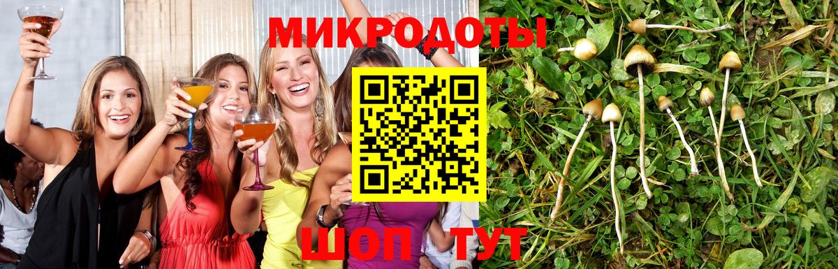 Галлюциногенные грибы прущие грибы  Вход с VPN  Мурманск 